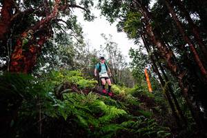 BIB: 
                            <button type="button" onclick="openModal(26205083)" class="btn btn-primary btn-sm float-right btn-popup" data-toggle="modal" data-target=".modal-high-quality">
                        <i class="fas fa-shopping-cart"></i> Add to Cart
                    </button>
                                            <button type="button" onclick="isThisMe(26205083, true)" class="btn btn-success btn-sm float-right btn-popup btn-isme hidden" data-toggle="tooltip" data-placement="bottom" title="นี่คือรูปของคุณใช่ไหม คลิกที่นี่เพื่อเอาเข้าอัลบั้ม">
                        <i class="fas fa-plus"></i> Add to album
                    </button>
                    <button type="button" onclick="isThisMe(26205083, false)" class="btn btn-warning btn-sm float-right btn-popup btn-isnotme hidden">
                        <i class="fas fa-ban"></i> Remove from album
                    </button>